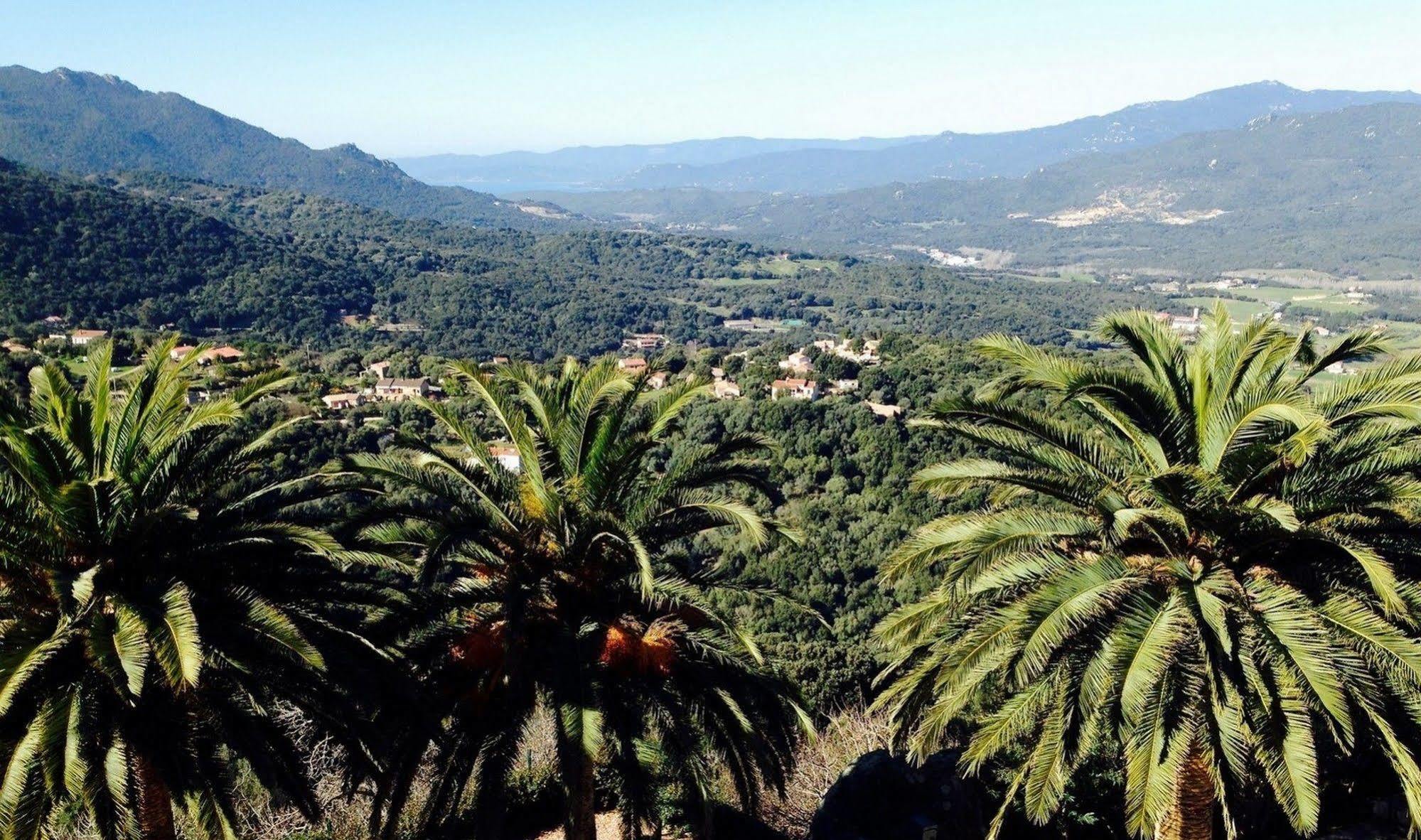 Hotel Des Roches Sartène Εξωτερικό φωτογραφία